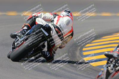 media/Oct-08-2022-SoCal Trackdays (Sat) [[1fc3beec89]]/Turn 11 Backside (1145am)/